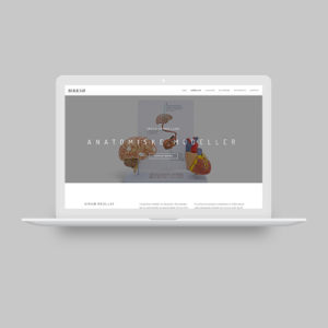 Woye webdesign af hjemmeside og logo til Birksø